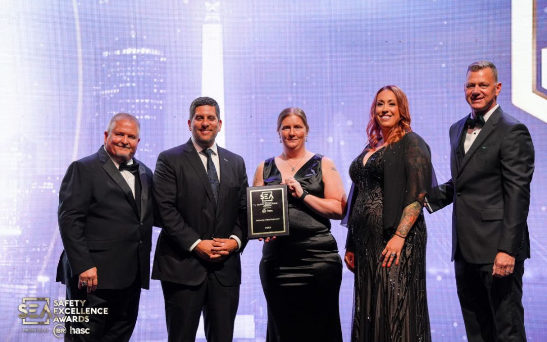 Vector CAG Earns Gold at 37th Annual Safety Excellence Awards