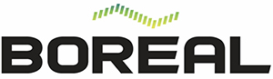 Vector CAG - Boreal Logo