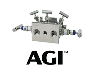 Vector CAG - AGI Block Vector CAG - AGI Block