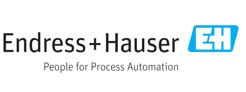 endress+hauser